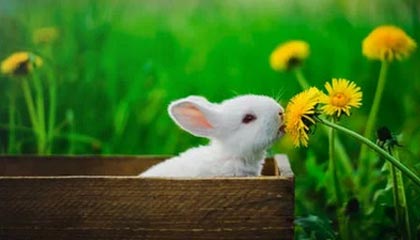 ayx体育download-《电竞持续升温：城市体育公共设施加入电竞元素》，电竞纳入体育项目