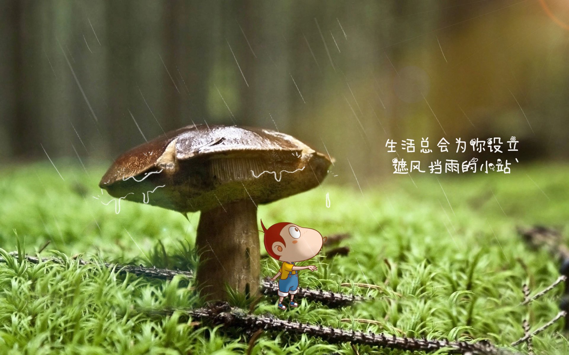 爱游戏体育-FaZe分析LOL全球赛事的流量潜力，lol全球赛区排名