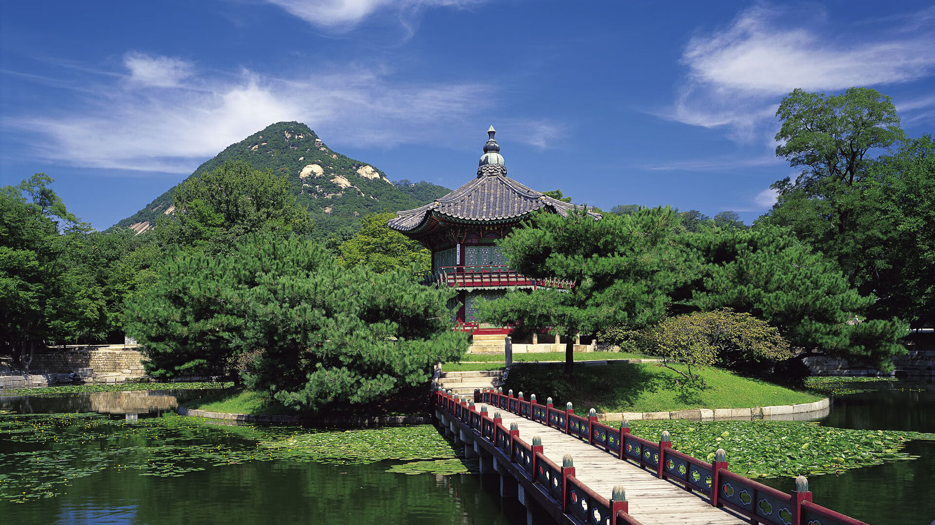 -女子游泳队划频节奏控制出色，女子游泳运动