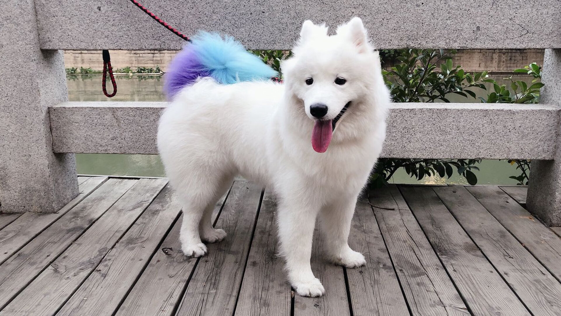 爱游戏官方-女子200蝶冲刺节奏变化研究,女子200米蝶泳决赛录像