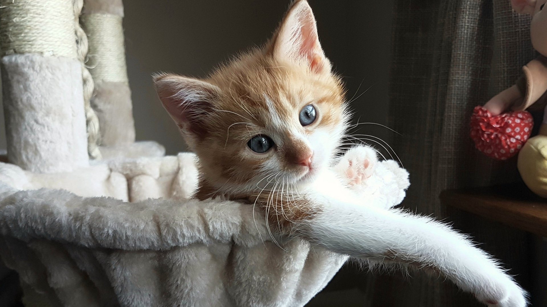 AYX官网-球队是否根据球员疲劳数据调整边路与中路组织重心，分析球队状态从哪里入手