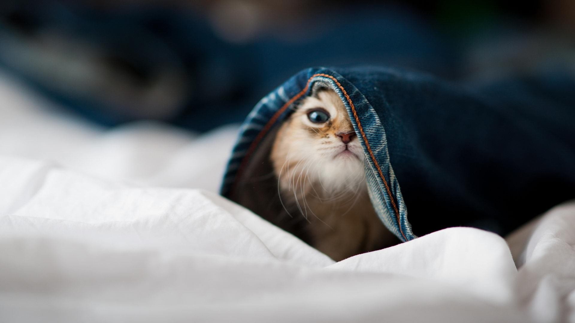 爱游戏在线登录入口-球队是否通过边路连续推进撕裂密集防守线路