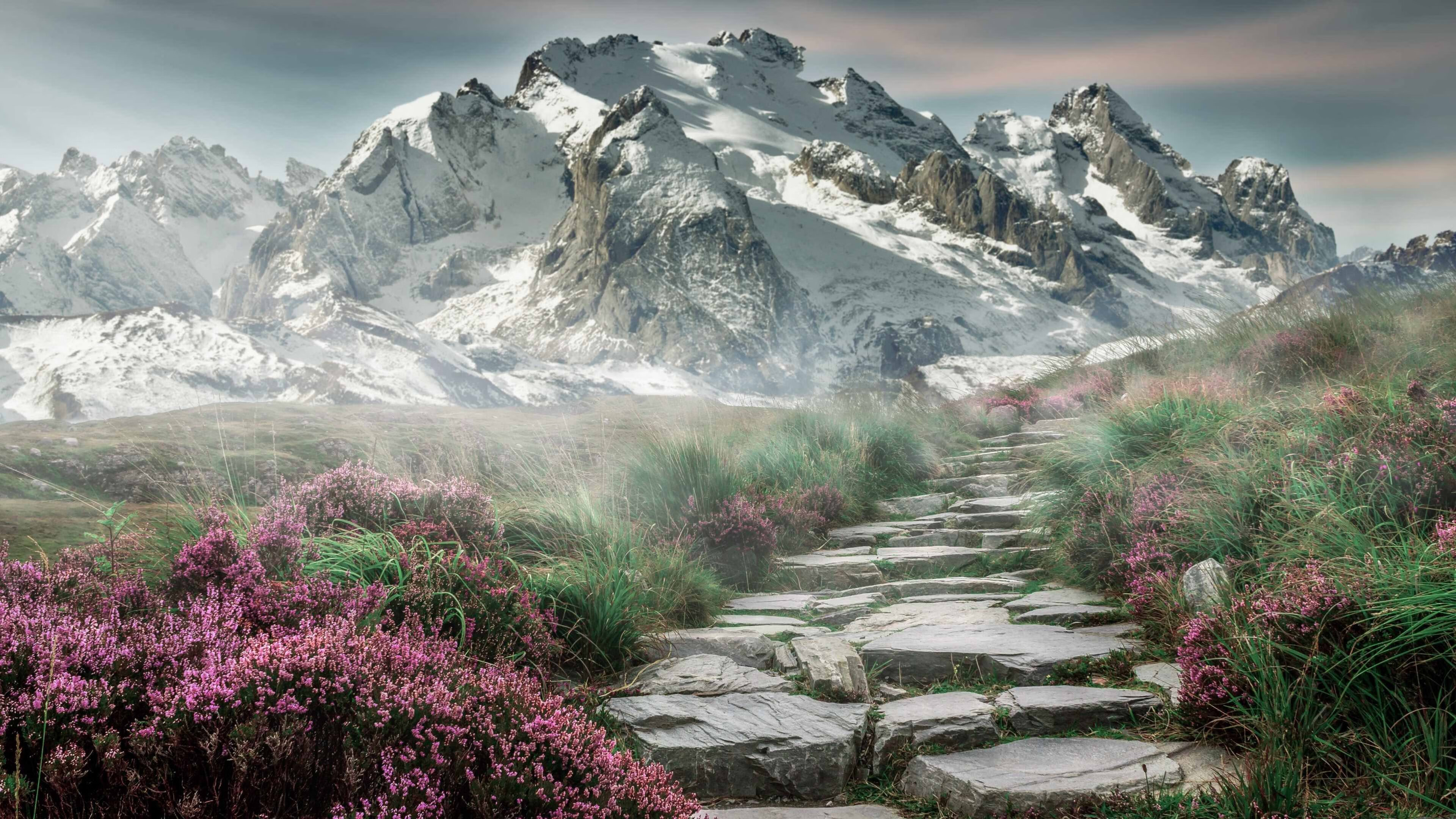 AYX官网-C罗离队传闻引发球迷热议，c罗离开皇马照片