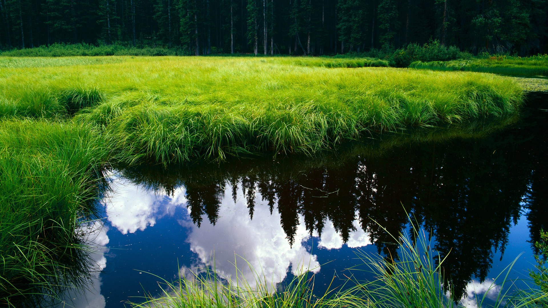 爱游戏娱乐平台-世界杯精彩集锦：每一瞬都令人心跳加速！，世界杯经典镜头