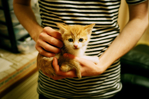 爱游戏综合娱乐-中国足球国家队开展跨部门协作训练实验,此次中国足协进一步细分部门细化管理