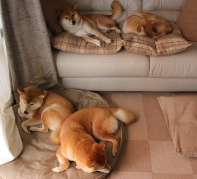 爱游戏娱乐网址-中超赛程优化方案出台合理分配高强度对抗场次,中超联赛分析