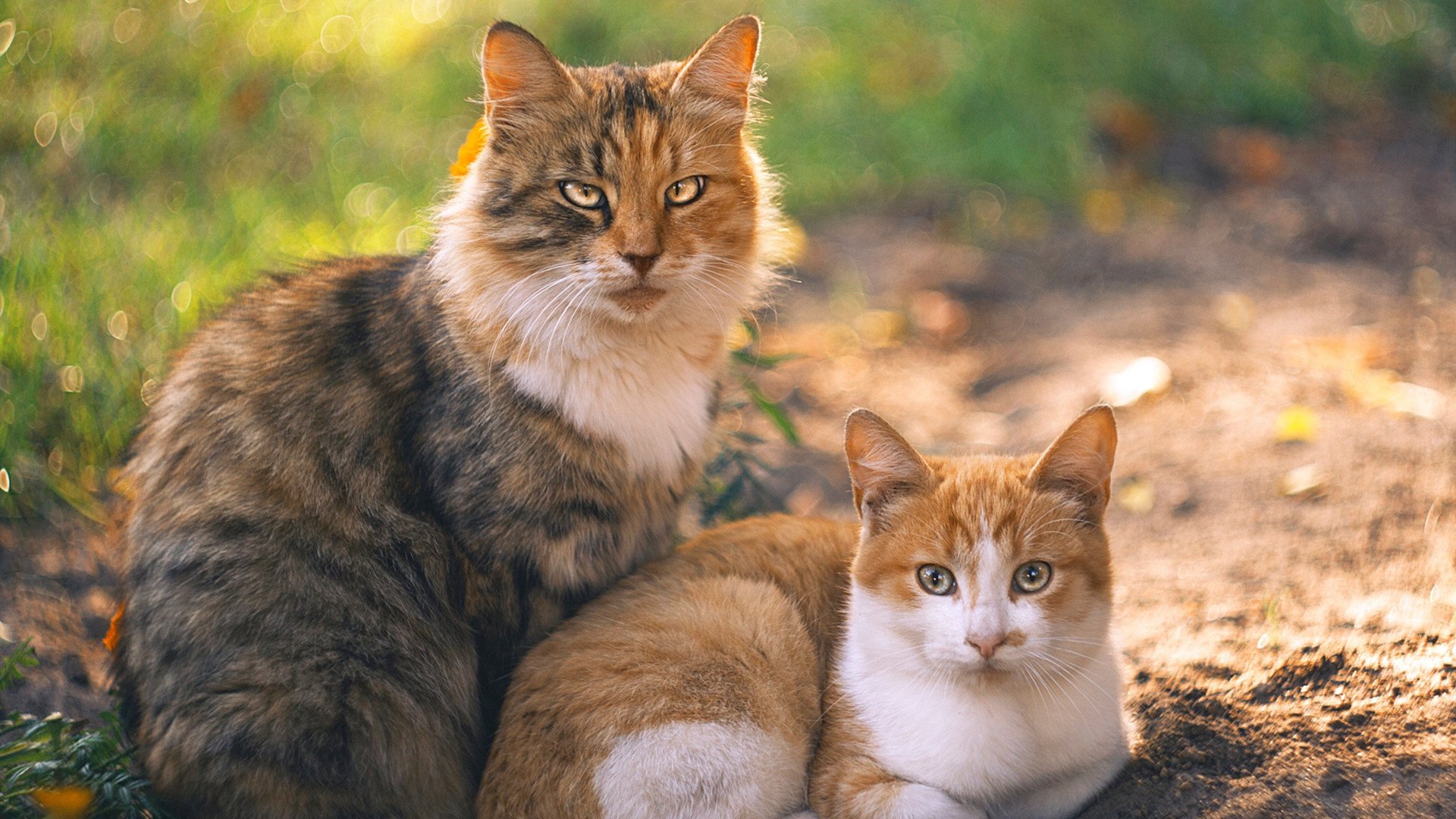 爱游戏综合娱乐-渡边一平后半程爆发力成为制胜法宝，渡边一志