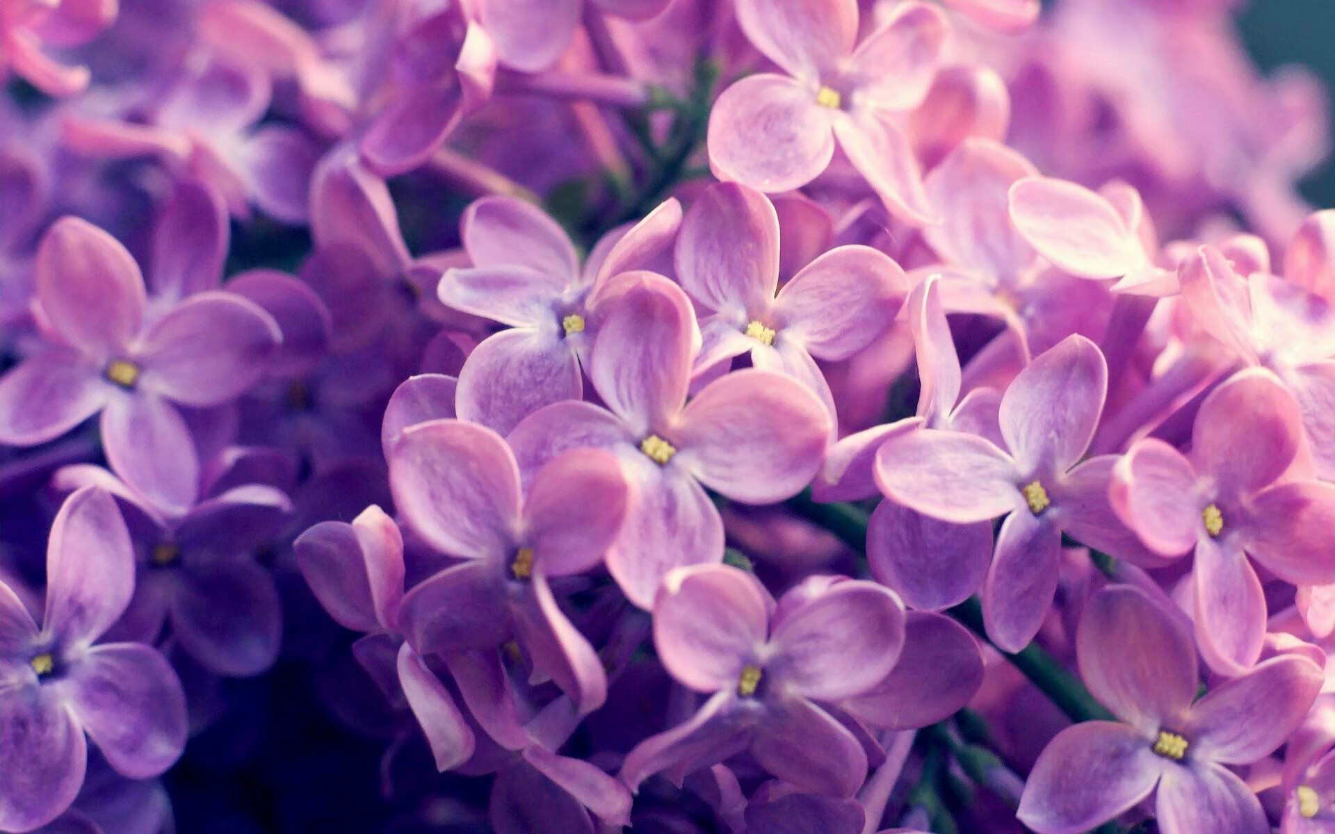 爱游戏登录入口-瑞·弗兰:每次反击和突破后,他总能准确地判断最佳传球线路,瑞弗兰用法